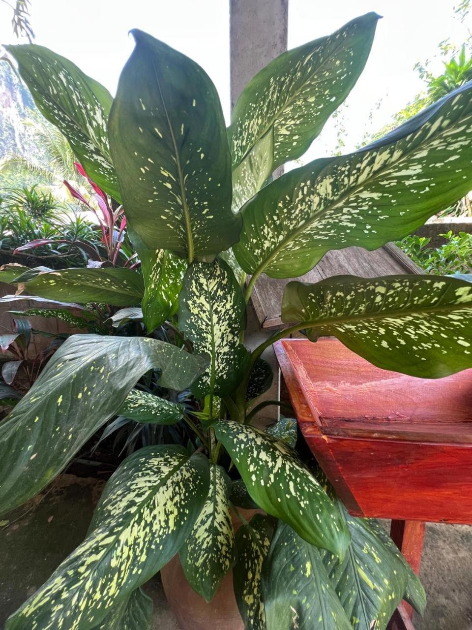 Meexai Guesthouse Nong Khiaw Luaran gambar